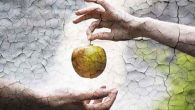 جلب الحبيب عن طريق تفاحة خضراء