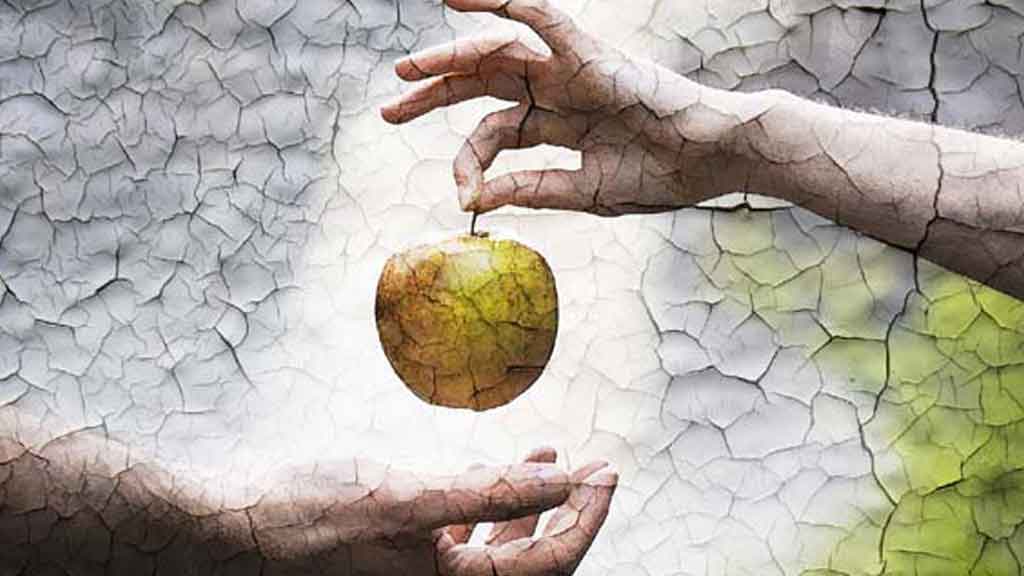 جلب الحبيب عن طريق تفاحة خضراء