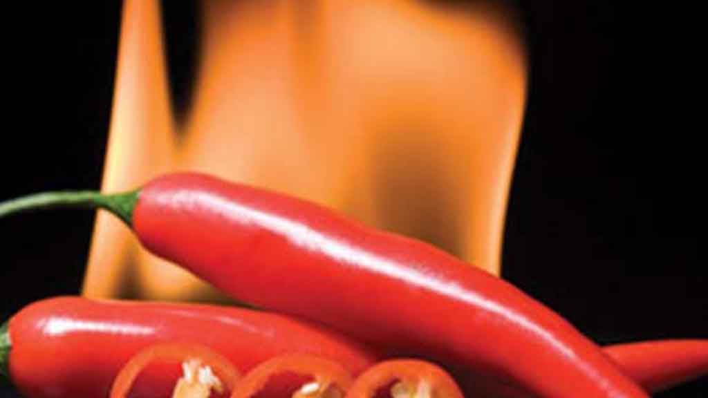 جلب الحبيب بالملح وضرب جلب الحبيب بالملح والفلفل