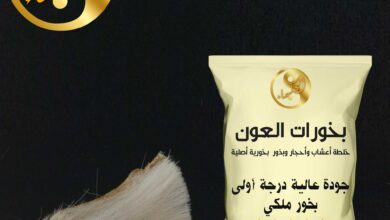 جلدة الروامة في جلب الزوج و الحبيب للطاعة العمياء